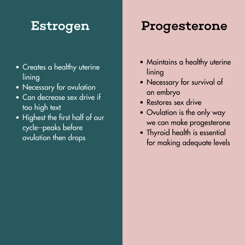 Understanding Estrogen and Progesterone
